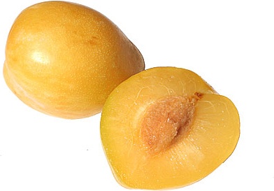 GOLDEN  PLUMS