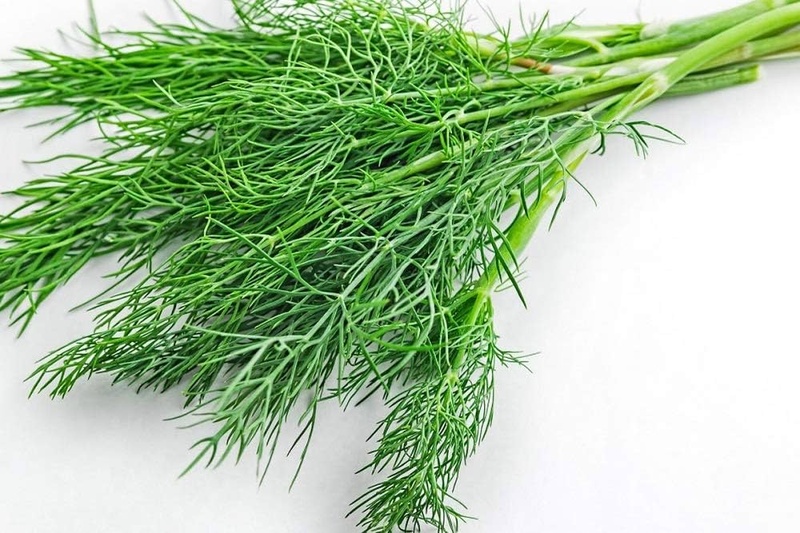 DILL EACH