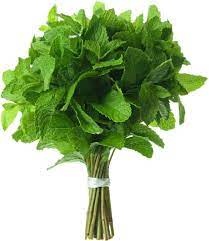 mint leaves 2.11 oz.