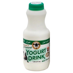Mint Yogurt