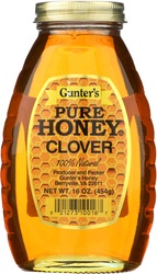 GUNTERS HONEY 16OZ