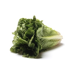 Romaine Heart Lettuce EACH