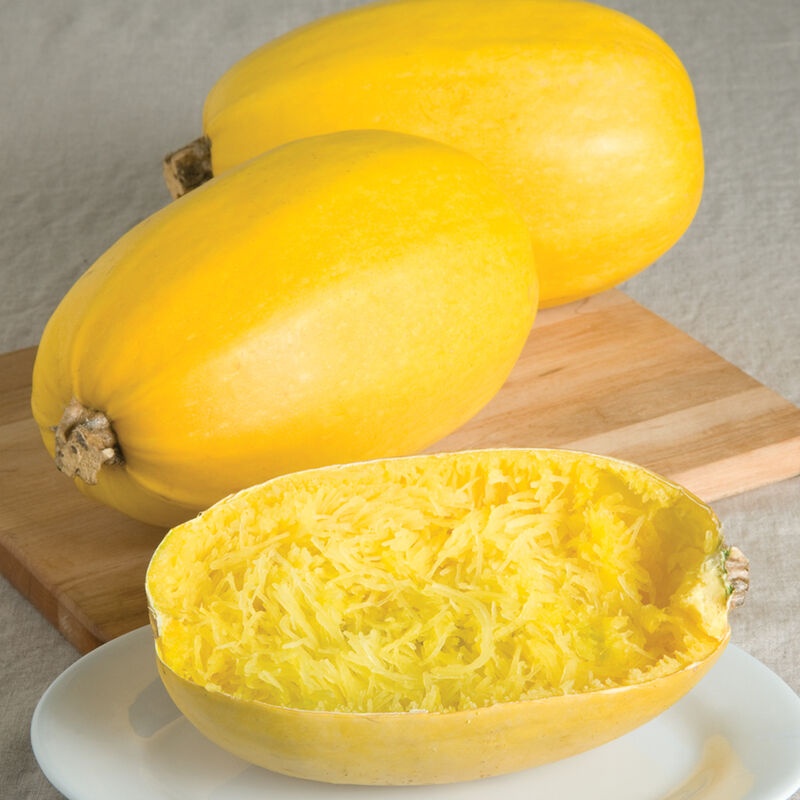 Spaghitti Squash