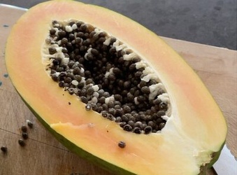 yellow papaya
